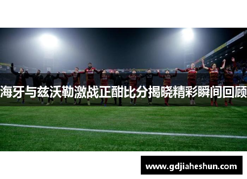 海牙与兹沃勒激战正酣比分揭晓精彩瞬间回顾